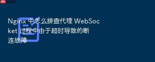 nginx 中怎么排查代理 websocket 过程中由于超时导致的断连故障