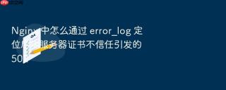 nginx 中怎么通过 error_log 定位后端服务器证书不信任引发的 502