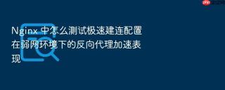 nginx 中怎么测试极速建连配置在弱网环境下的反向代理加速表现