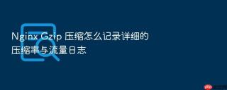 Nginx Gzip 压缩怎么记录详细的压缩率与流量日志