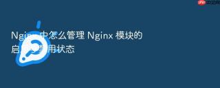 Nginx 中怎么管理 Nginx 模块的启用与禁用状态