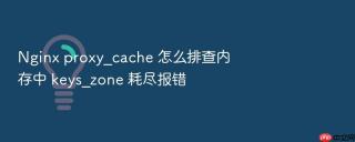 Nginx proxy_cache 怎么排查内存中 keys_zone 耗尽报错