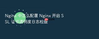 Nginx 中怎么配置 Nginx 开启 SSL 证书透明度日志检查