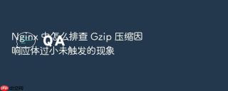 Nginx 中怎么排查 Gzip 压缩因响应体过小未触发的现象