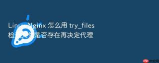linux nginx 怎么用 try_files 检查文件是否存在再决定代理