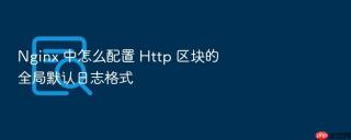 Nginx 中怎么配置 Http 区块的全局默认日志格式