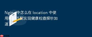 Nginx 中怎么在 location 中使用精确匹配实现健康检查探针加速