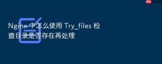 Nginx 中怎么使用 Try_files 检查目录是否存在再处理
