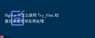 nginx 中怎么使用 try_files 检查目录是否存在再处理