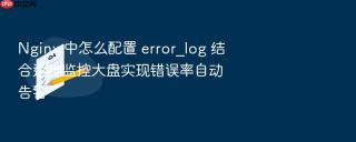 Nginx 中怎么配置 error_log 结合运维监控大盘实现错误率自动告警