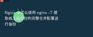 nginx 中怎么使用 nginx -t 提取线上运行时的完整合并配置进行备份