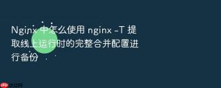 Nginx 中怎么使用 nginx -T 提取线上运行时的完整合并配置进行备份