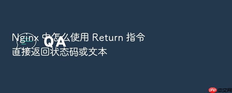 nginx 中怎么使用 return 指令直接返回状态码或文本
