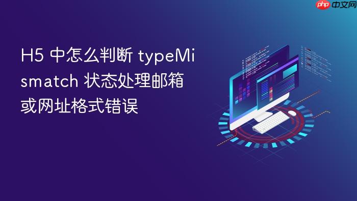 h5 中怎么判断 typemismatch 状态处理邮箱或网址格式错误