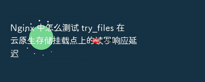 nginx 中怎么测试 try_files 在云原生存储挂载点上的读写响应延迟