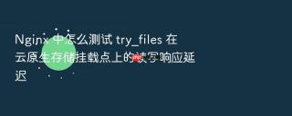 nginx 中怎么测试 try_files 在云原生存储挂载点上的读写响应延迟