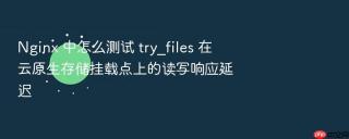Nginx 中怎么测试 try_files 在云原生存储挂载点上的读写响应延迟