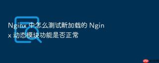 Nginx 中怎么测试新加载的 Nginx 动态模块功能是否正常