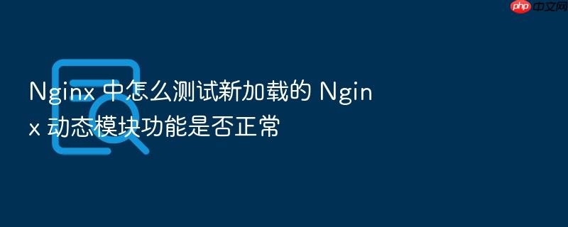 nginx 中怎么测试新加载的 nginx 动态模块功能是否正常