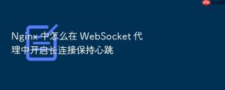 nginx 中怎么在 websocket 代理中开启长连接保持心跳