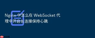 Nginx 中怎么在 WebSocket 代理中开启长连接保持心跳