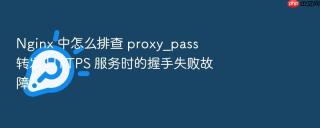 nginx 中怎么排查 proxy_pass 转发 https 服务时的握手失败故障