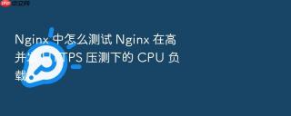 Nginx 中怎么测试 Nginx 在高并发 HTTPS 压测下的 CPU 负载
