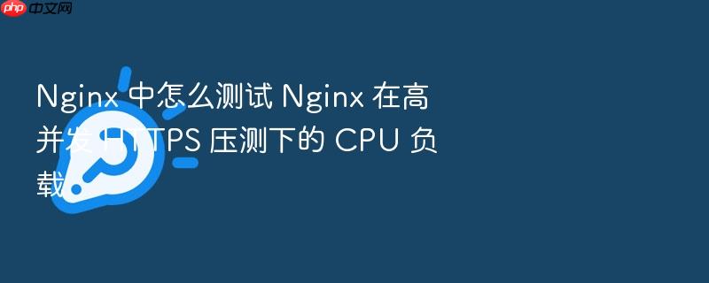 nginx 中怎么测试 nginx 在高并发 https 压测下的 cpu 负载