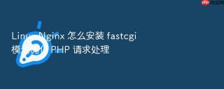linux nginx 怎么安装 fastcgi 模块优化 php 请求处理