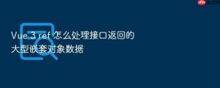 Vue 3 ref 怎么处理接口返回的大型嵌套对象数据