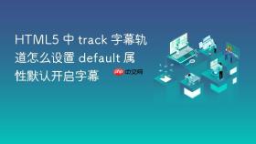 html5 中 track 字幕轨道怎么设置 default 属性默认开启字幕