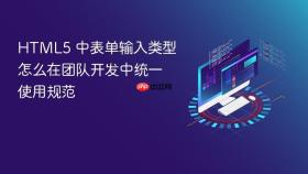 html5 中表单输入类型怎么在团队开发中统一使用规范