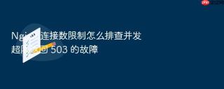 nginx 连接数限制怎么排查并发超限返回 503 的故障
