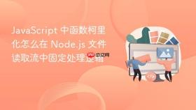 javascript 中函数柯里化怎么在 node.js 文件读取流中固定处理逻辑