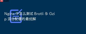 Nginx 中怎么测试 Brotli 与 Gzip 混合配置的最优解