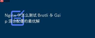 nginx 中怎么测试 brotli 与 gzip 混合配置的最优解