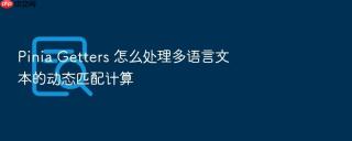 pinia getters 怎么处理多语言文本的动态匹配计算