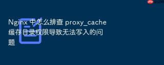 Nginx 中怎么排查 proxy_cache 缓存目录权限导致无法写入的问题