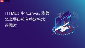html5 中 canvas 裁剪怎么导出符合特定格式的图片