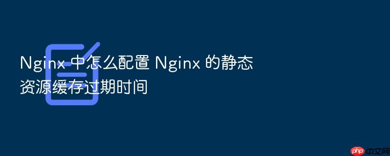 nginx 中怎么配置 nginx 的静态资源缓存过期时间