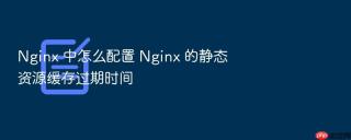 nginx 中怎么配置 nginx 的静态资源缓存过期时间