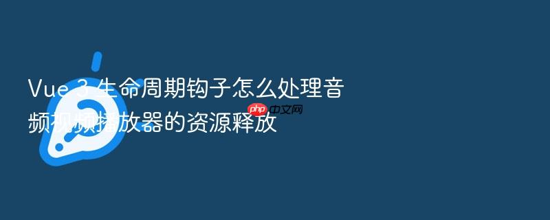 vue 3 生命周期钩子怎么处理音频视频播放器的资源释放