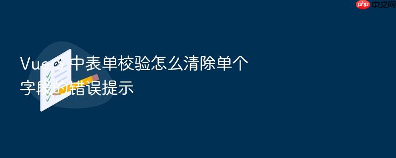 vue 3 中表单校验怎么清除单个字段的错误提示