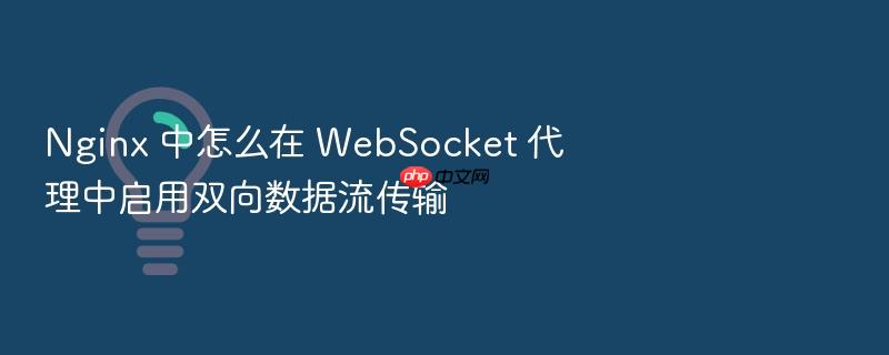 nginx 中怎么在 websocket 代理中启用双向数据流传输