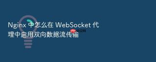 nginx 中怎么在 websocket 代理中启用双向数据流传输
