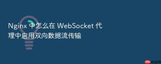 Nginx 中怎么在 WebSocket 代理中启用双向数据流传输