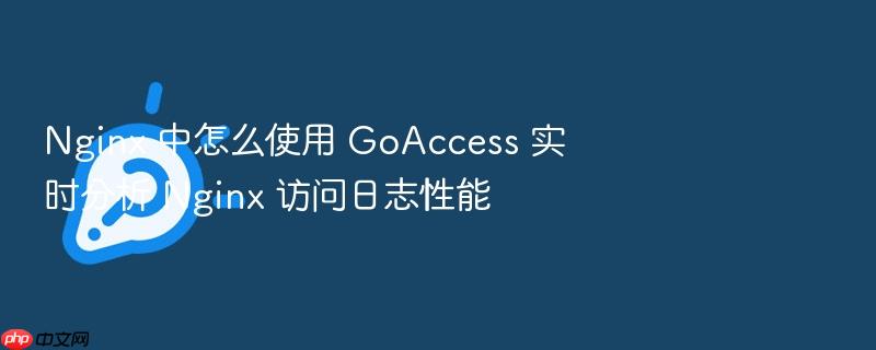nginx 中怎么使用 goaccess 实时分析 nginx 访问日志性能