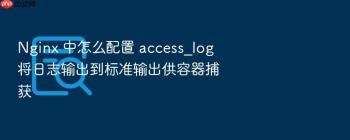 Nginx 中怎么配置 access_log 将日志输出到标准输出供容器捕获