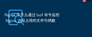 Nginx 中怎么通过 lsof 命令监控 Nginx 进程占用的文件句柄数