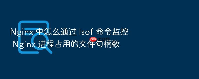 nginx 中怎么通过 lsof 命令监控 nginx 进程占用的文件句柄数
